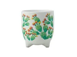 Royal Botanic Garden Arid Garden Planter Pot 14cm Prickly Pear