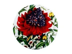 Royal Botanic Gardens Euphemia Henderson Ceramic Round Coaster 9.5cm Waratah