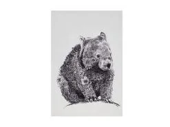 Marini Ferlazzo Tea Towel 50x70cm Wombat