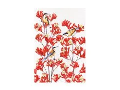 Royal Botanic Gardens Victoria Garden Friends Tea Towel 50x70cm Spinebill