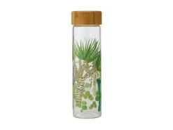 Royal Botanic Garden Arid Garden Glass Water Bottle 550ML Dracaena