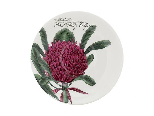 Royal Botanic Gardens Australian Botanics Breakfast Cup & Saucer 450ML Telopea Gift Boxed - Image 3